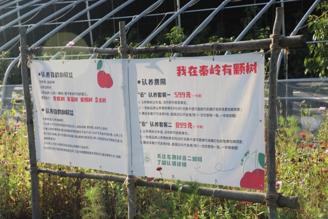 煥新“農家院” 開拓“新賽道”——寶雞市渭濱區(qū)推動鄉(xiāng)村文旅融合發(fā)展
