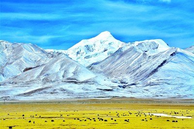 西藏:雪域高原繪出發(fā)展新畫卷
