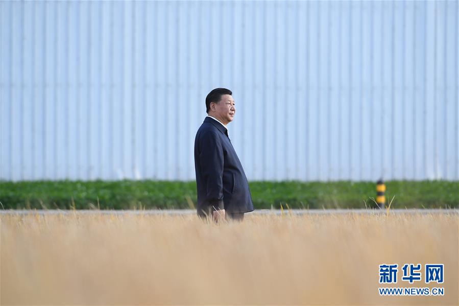 2018年9月25日，中共中央總書記、國家主席、中央軍委主席習(xí)近平抵達黑龍江省開始考察。這是習(xí)近平在黑龍江農(nóng)墾建三江管理局了解糧食生產(chǎn)和收獲情況。 新華社記者燕雁攝