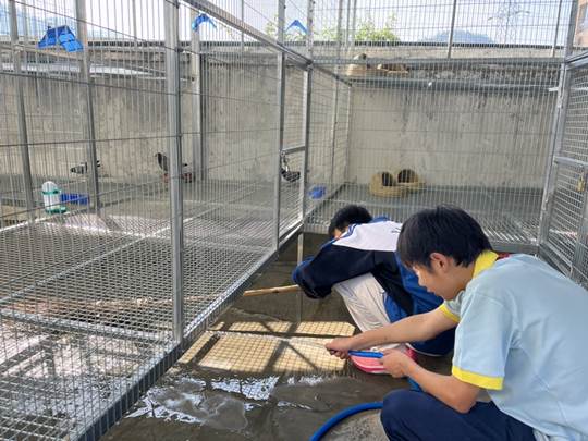 圖示, 示意圖&#10;&#10;中度可信度描述已自動(dòng)生成:ver1