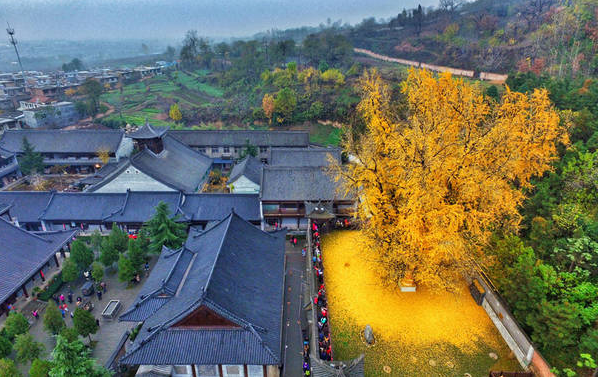QQ截圖20151123202415.png