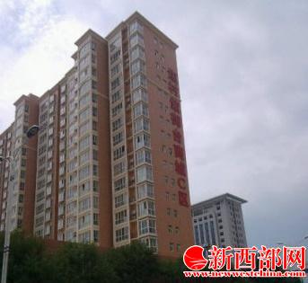 富平縣焦村紫御臺(tái)商城違法用地百畝調(diào)查????jpg