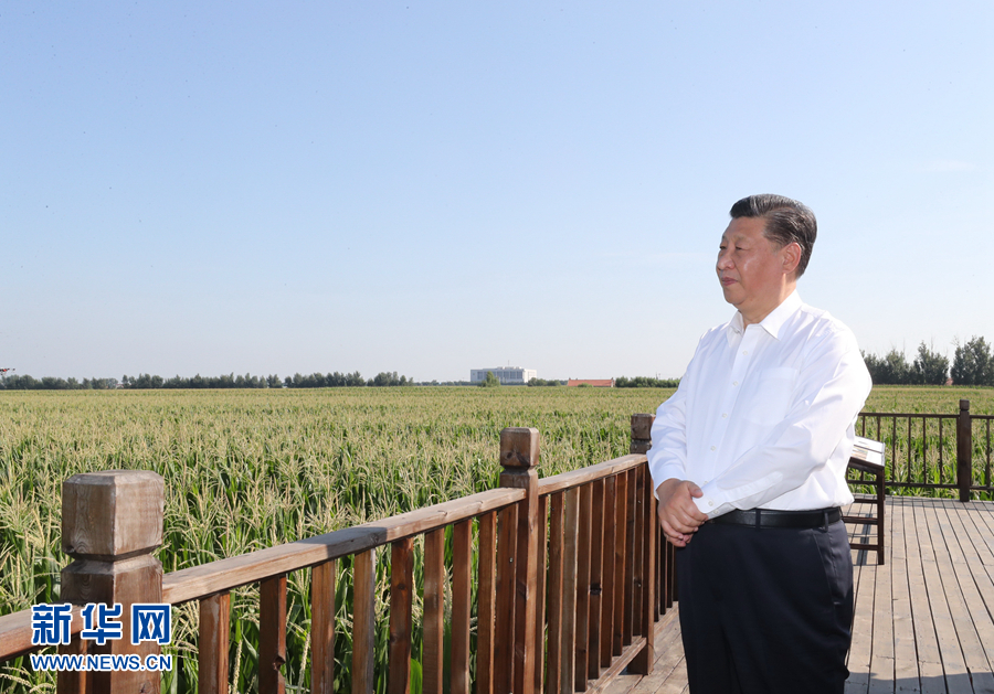 2020年7月22日至24日，中共中央總書記、國家主席、中央軍委主席習(xí)近平在吉林省考察。這是7月22日下午，習(xí)近平考察四平市梨樹縣國家百萬畝綠色食品原料(玉米)標準化生產(chǎn)基地核心示范區(qū)地塊。 新華社記者 鞠鵬 攝