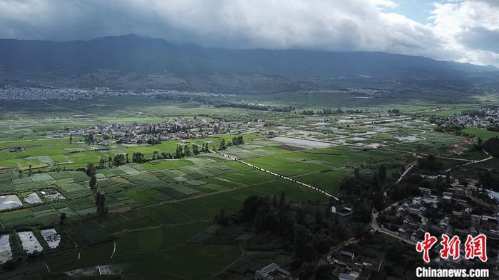 7月9日,航拍鳳羽鎮(zhèn)田園風(fēng)光。<a target='_blank' >中新社</a>記者 劉冉陽(yáng) 攝 點(diǎn)擊進(jìn)入下一頁(yè)