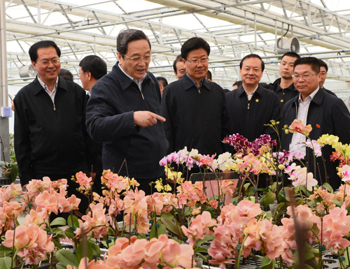 3月28日，俞正聲在兵團(tuán)第一師阿拉爾市國家級現(xiàn)代農(nóng)業(yè)示范區(qū)10團(tuán)“南果北種”基地調(diào)研。（李楊攝）