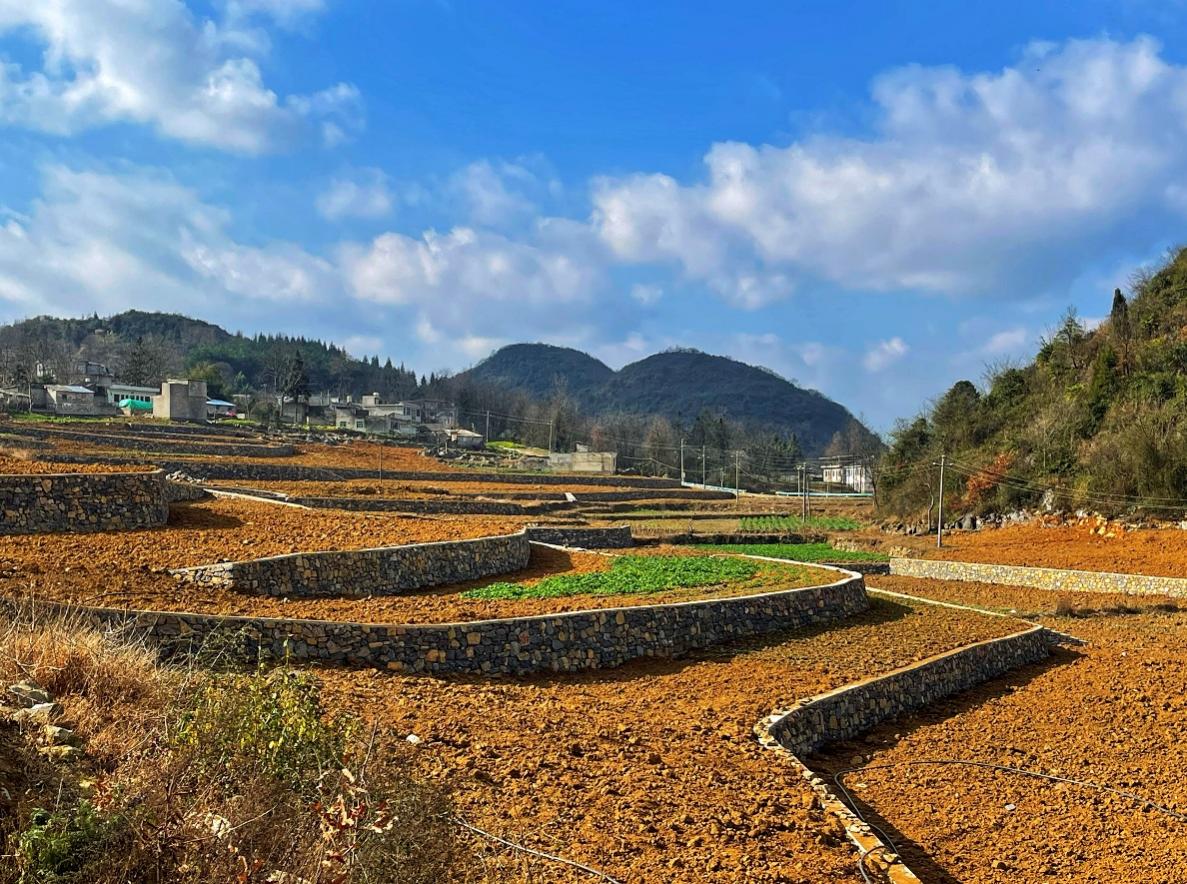 新豐小流域項(xiàng)目石坎坡改梯完工效果。安芮攝