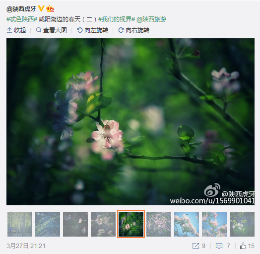 QQ截圖20160328104639.png