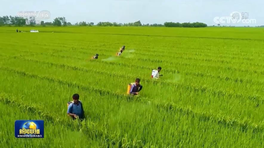 點擊進(jìn)入下一頁
