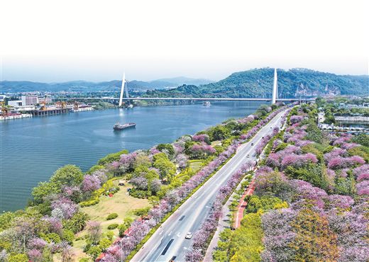 百里柳江穿城而過，沿岸風(fēng)光旖旎。 柳州市生態(tài)環(huán)境局供圖