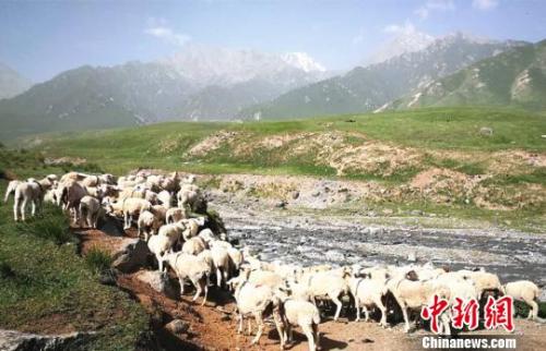 資料圖:夏日的祁連山風景如畫?!±晌娜饠z 資料圖:夏日的祁連山風景如畫?!±晌娜饠z