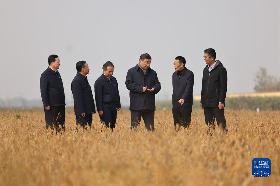 2021年10月22日下午，中共中央總書記、國家主席、中央軍委主席習(xí)近平在山東省濟南市主持召開深入推動黃河流域生態(tài)保護和高質(zhì)量發(fā)展座談會并發(fā)表重要講話。這是座談會前，習(xí)近平21日上午在東營市黃河三角洲農(nóng)業(yè)高新技術(shù)產(chǎn)業(yè)示范區(qū)考察時，走進田間察看大豆長勢。