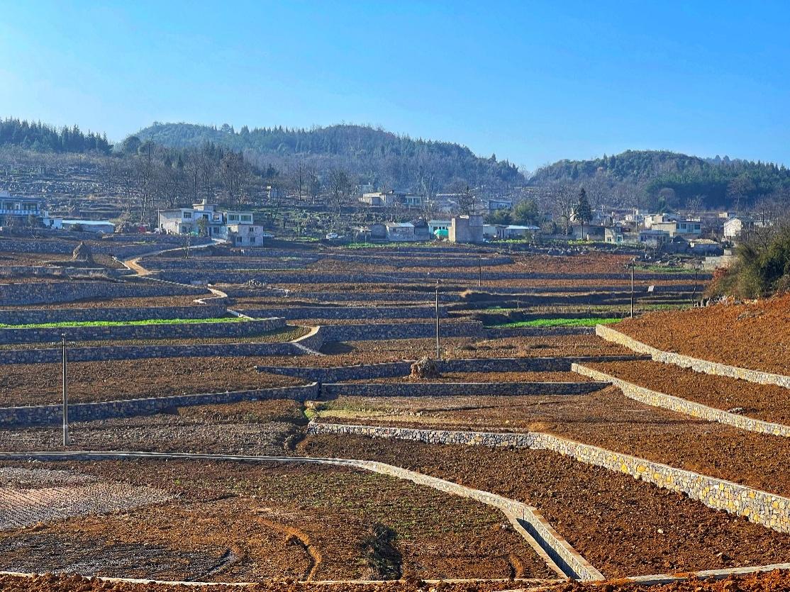 新豐小流域項(xiàng)目石坎坡改梯完工效果。安芮攝