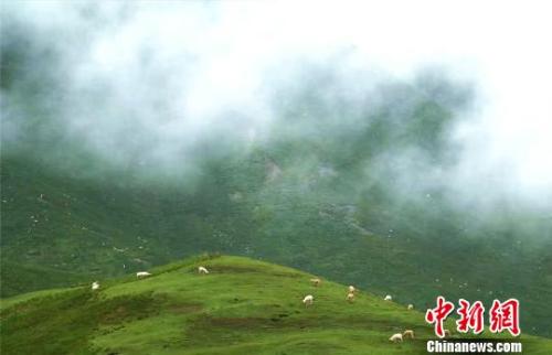 資料圖:七月的祁連山云霧繚繞?!±晌娜饠z 資料圖:七月的祁連山云霧繚繞。 郎文瑞攝