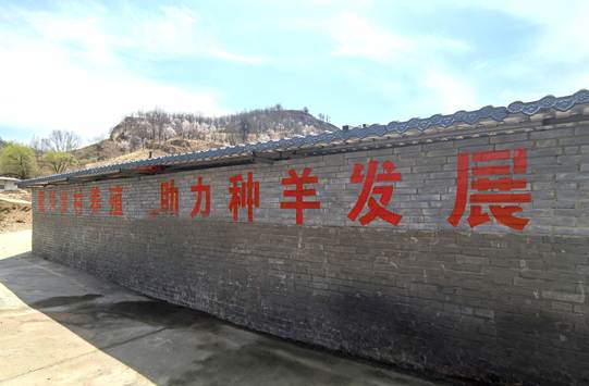 圖示, 示意圖&#10;&#10;中度可信度描述已自動生成:ver1