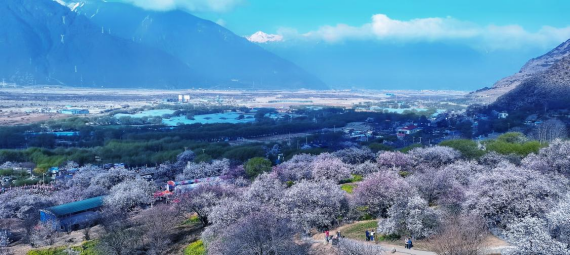 點(diǎn)擊進(jìn)入下一頁