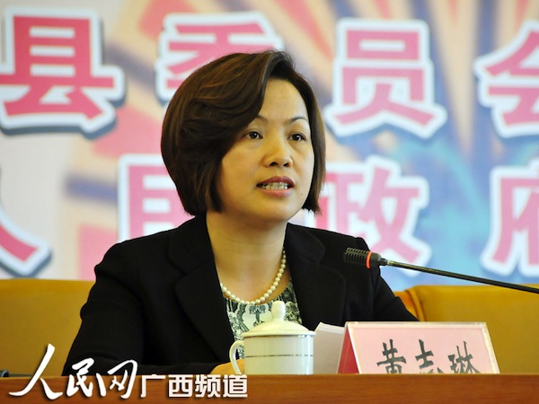 田林縣委常委、宣傳部部長、縣人民政府副縣長黃志琳介紹田林縣縣情概??jpg