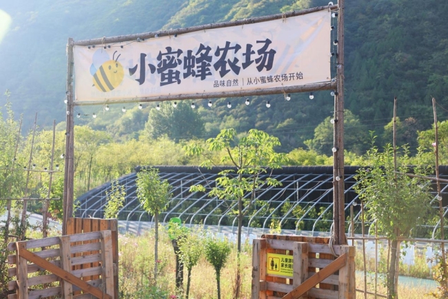 煥新“農家院” 開拓“新賽道”——寶雞市渭濱區(qū)推動鄉(xiāng)村文旅融合發(fā)展